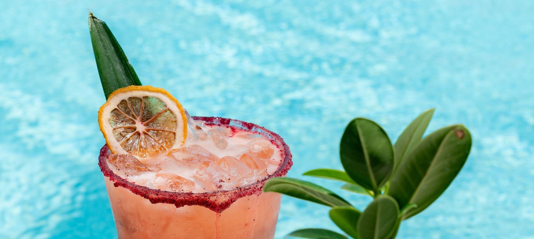 Guava Margarita
